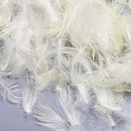 White Goose Feather Buyers - Wholesale Manufacturers, Importers ...