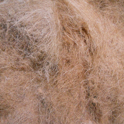 Natural Coir Fibre