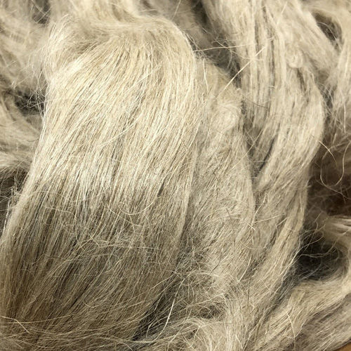 Natural Flax Fibre Buyers Wholesale Manufacturers, Importers, Distributors and Dealers for
