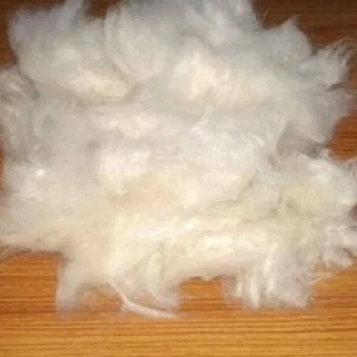 Natural Kapok Fibre