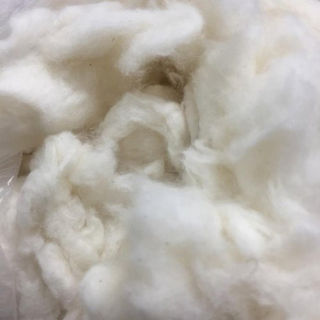 Recycled Cotton Fibre