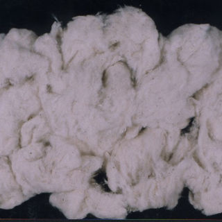Cotton Waste Fibre