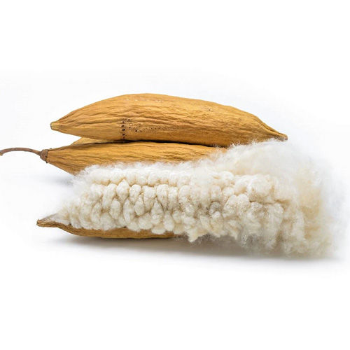 White Kapok Fibre