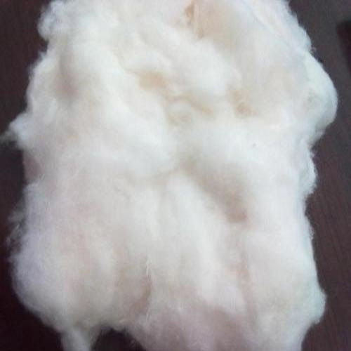 Greige Cotton Fibre