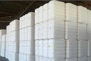 Row Cotton Fibre