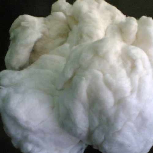 Cotton Comber Noil