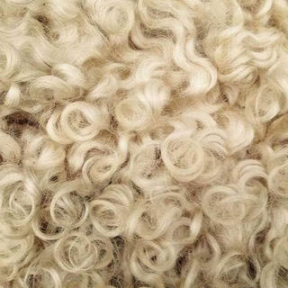 Natural Wool Fibre