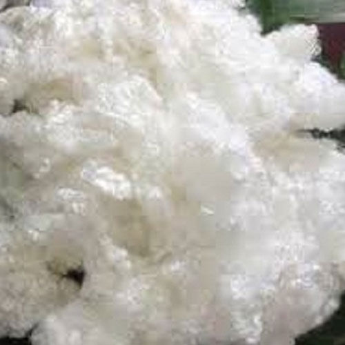 Greige Cotton Staple Fibre