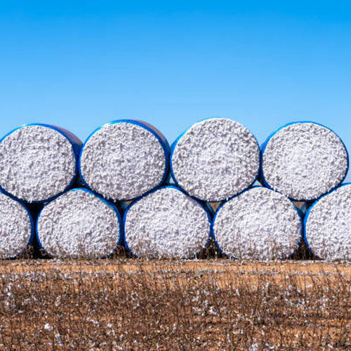 Cotton Bales