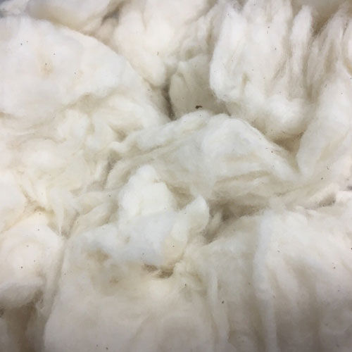 White Comber Fibre Waste