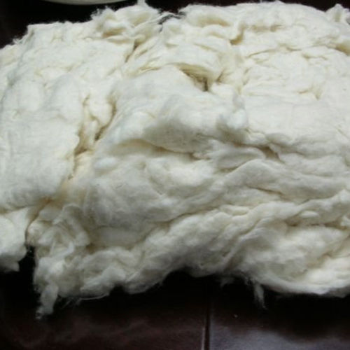 Cotton Comber Noil