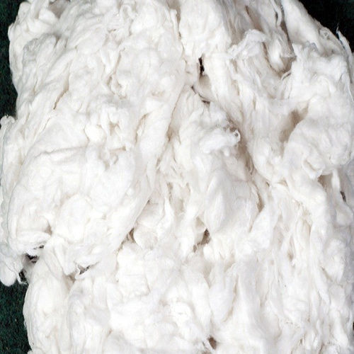 Polyester Waste Fibre