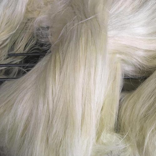 3L Grade Sisal Fibre