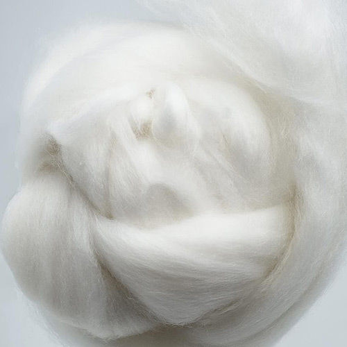 Cashmere Wool Fibre