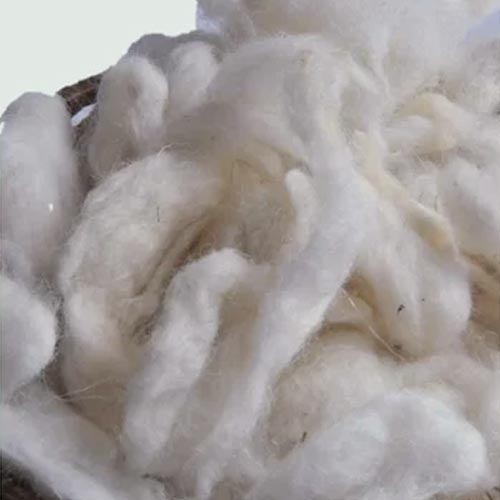 Merino Wool Fibre