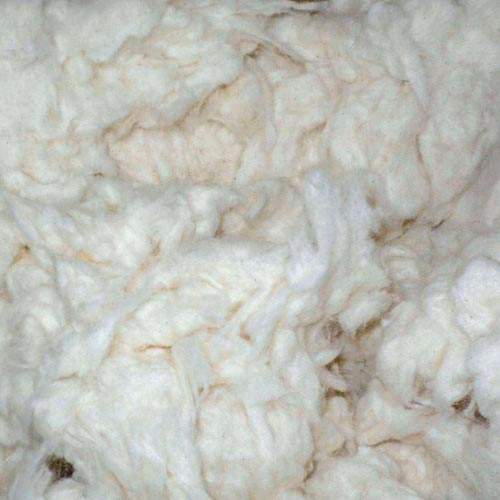 Cotton Comber Noil