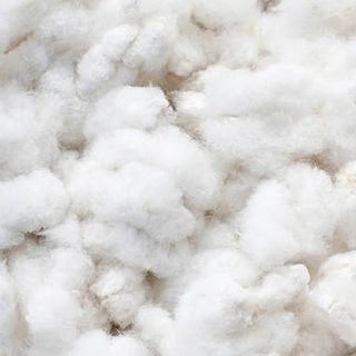 Traceable Cotton Fibre