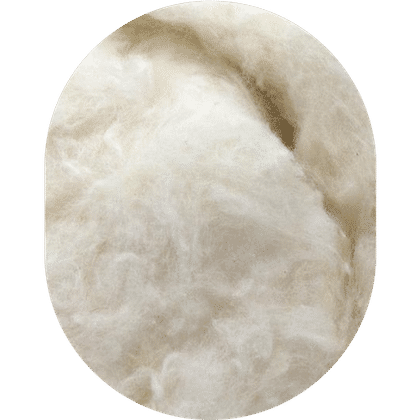 Organic & Conventional Cotton Fibre