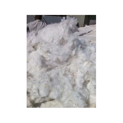 Natural Cotton Fibre