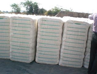 Natural Cotton Fibre