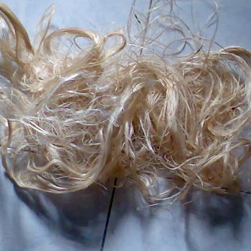 Kenaf Retted Fibre