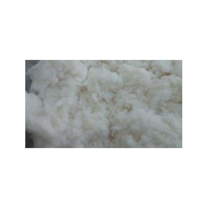 Natural Cotton Fibre