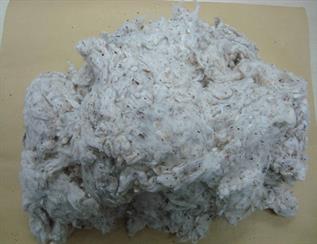 Natural Cotton Fibre