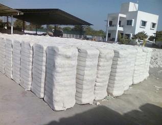 Natural Cotton Fibre