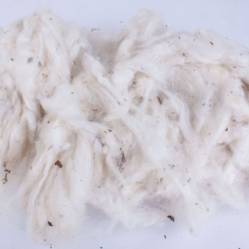 Non Recycled Raw Cotton Fibre