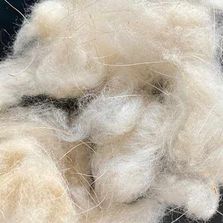 Raw White Cashmere Fibre
