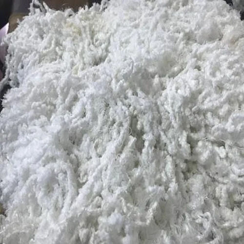 Raw Cotton Gin Motes