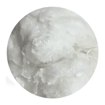 HCS & Non Siliconized Polyester Staple Fibre
