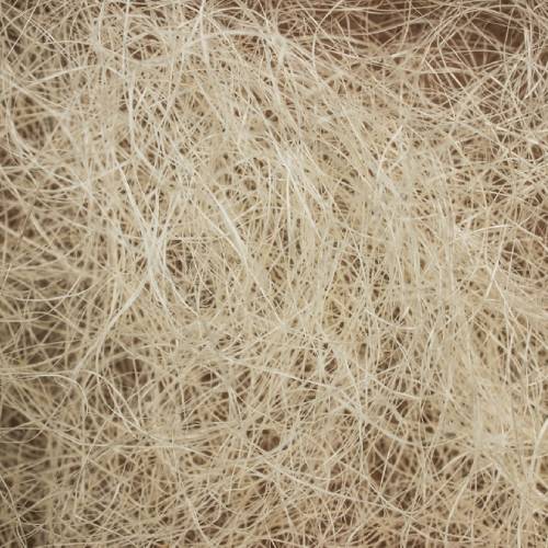 Carded Sisal Fibre