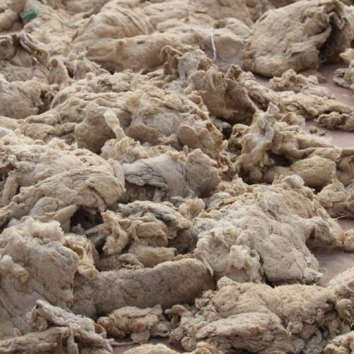 Marino Wool Hard Waste Buyers - Wholesale Manufacturers, Importers ...