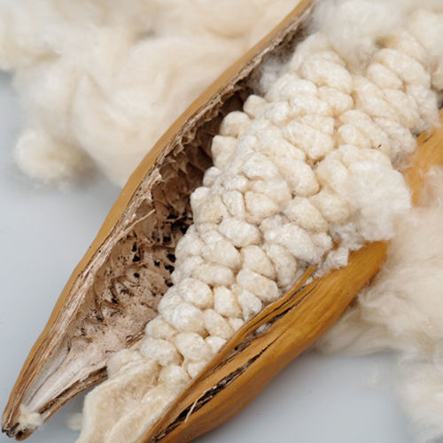 Greige Kapok Fibre