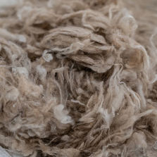 Mongolian Cashmere Fibre
