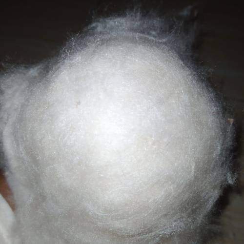 Grade A Kapok Fibre