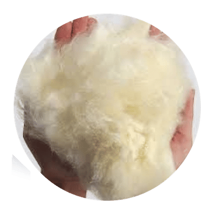 Greige Kapok Fibre