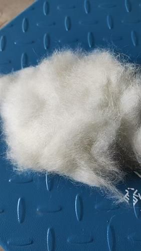 Natural Angora Fibre
