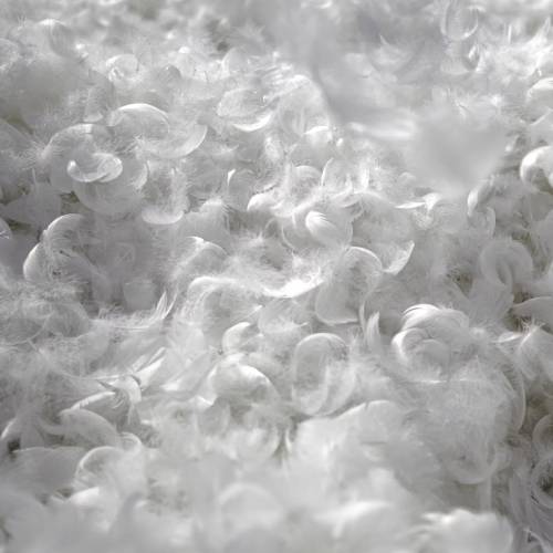 Cotton Flat Waste