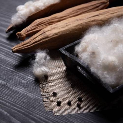 Raw White Kapok Fibre