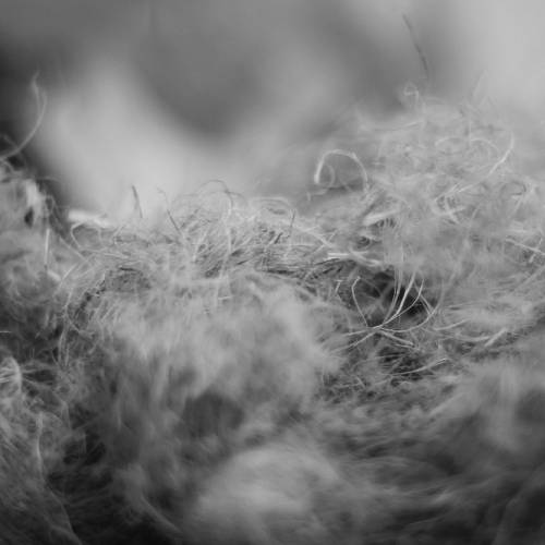 Linen fiber Hard Waste
