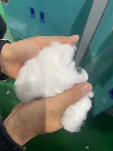 Recycled Cotton Fibre