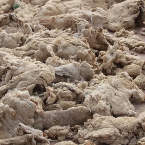 Cotton Linter