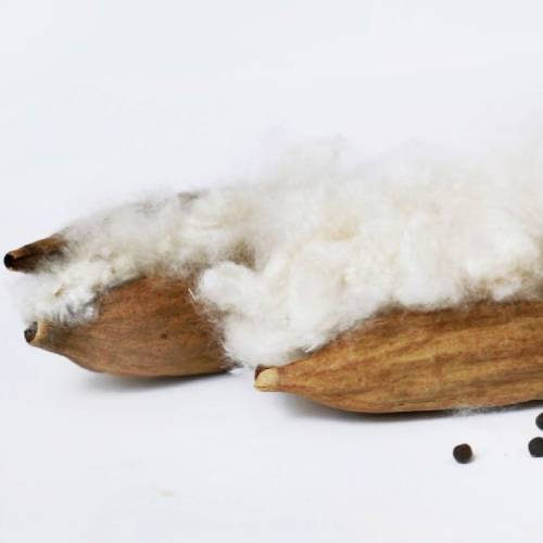 Greige Kapok Fibre