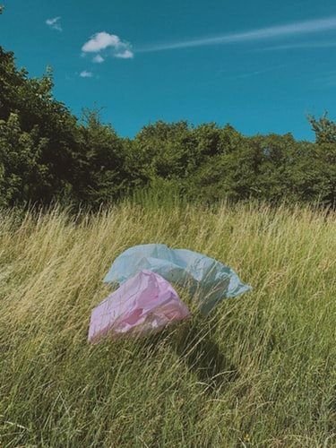 Biodegradable / Compostable Bags