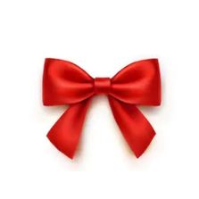 Satin Bow