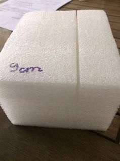 Foam Polybag