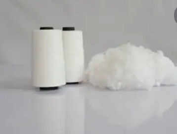 Polyester Thread