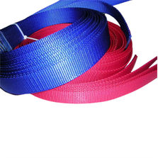 Dog Leash Webbing Strap